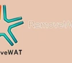 RemoveWAT 2.8.9 Activator Crack